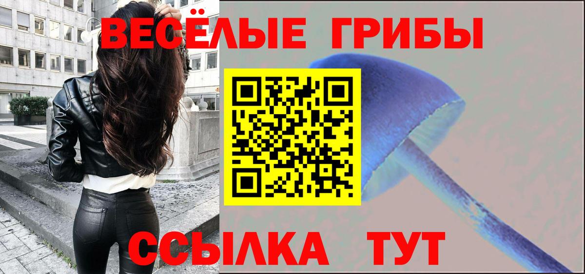 Псилоцибиновые грибы мицелий Острогожск