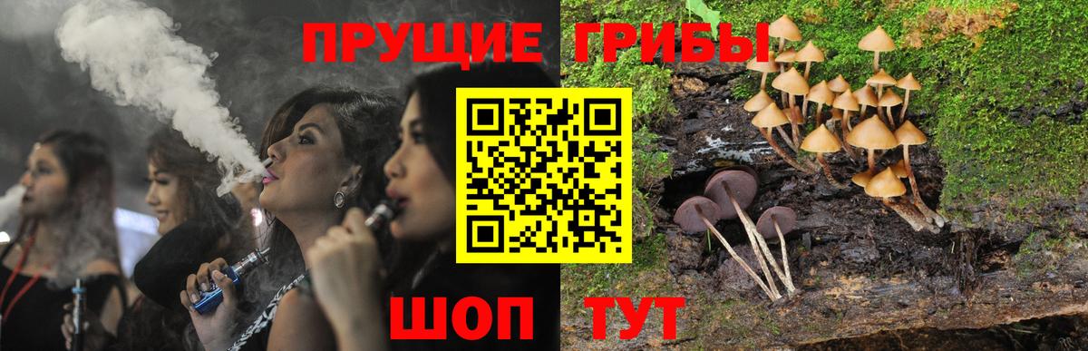 Псилоцибиновые грибы мухоморы  сколько стоит  Острогожск  Галлюциногенные грибы Magic Shrooms  Вход с VPN 